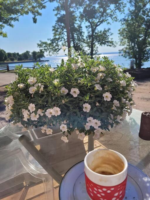Om Chalet 1 Avec Spa Face Au Fleuve Saint-Jean ภายนอก รูปภาพ
